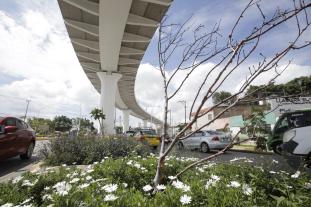 WhatsApp Image 2020-08-13 at 1.03.36 PM