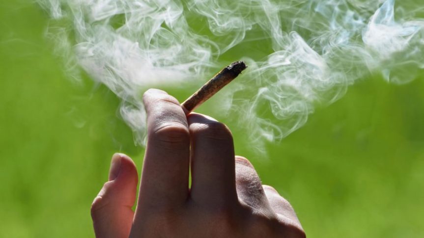 La legalización de la hierba verde: ¿como una salida a los problemas de México?&nbsp;(Columna)