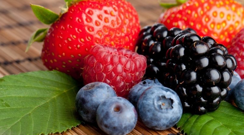 Aristóteles Sandoval se convertía en&nbsp;empresario