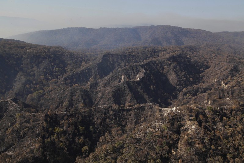Controlan incendio forestal en Bosque La&nbsp;Primavera