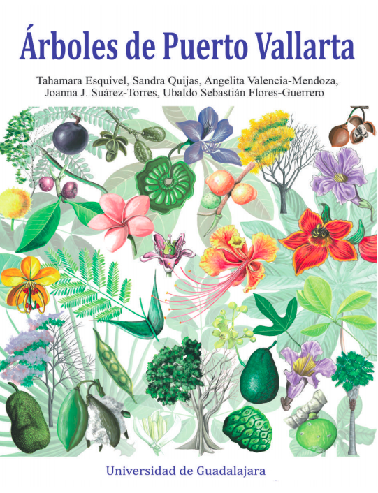 Un tercio de los árboles de Puerto Vallarta son de especies&nbsp;introducidas