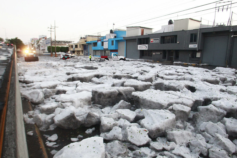 Invitan a participar en encuesta sobre Ley de Acción ante el Cambio&nbsp;Climático