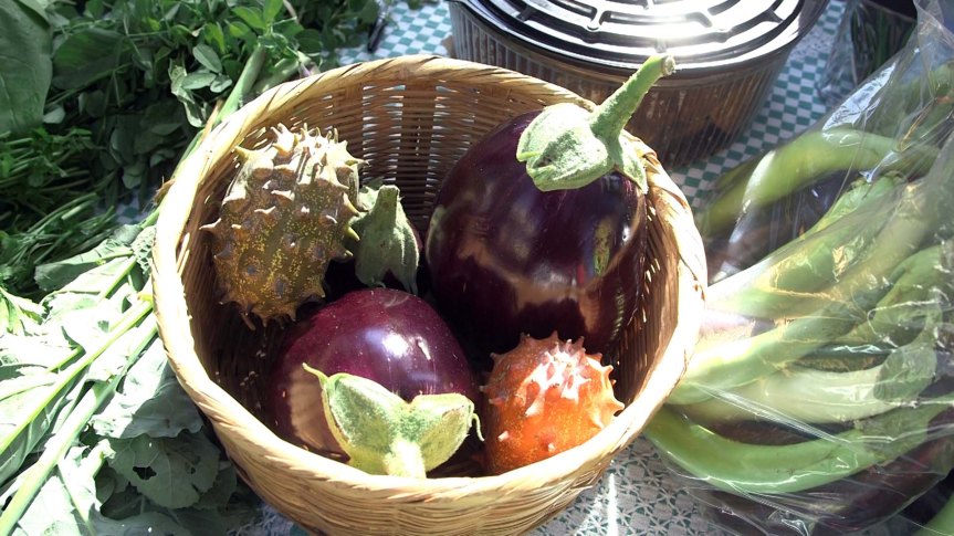 Huertos en casa, una práctica en aumento en el&nbsp;AMG