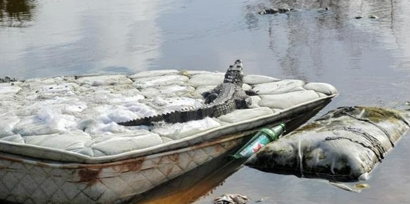 Continúan destruyendo manglar en Holbox ante inacción de las&nbsp;autoridades
