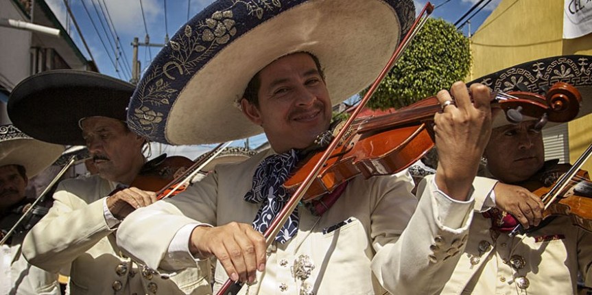 Las aves, protagonistas de los tradicionales sones de&nbsp;mariachi
