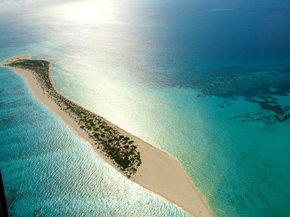 Advierten de nuevo recorte presupuestal para la conservación de las Áreas Naturales&nbsp;Protegidas