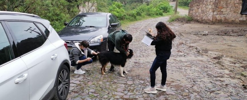 Urge tomar conciencia sobre el riesgo de llevar perros al Bosque La&nbsp;Primavera