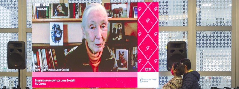 Jane Goodall llenó de esperanza el auditorio Juan&nbsp;Rulfo
