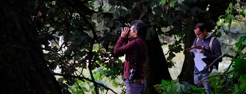 Invita el Bosque La Primavera a participar en el 12vo Conteo Navideño de&nbsp;Aves