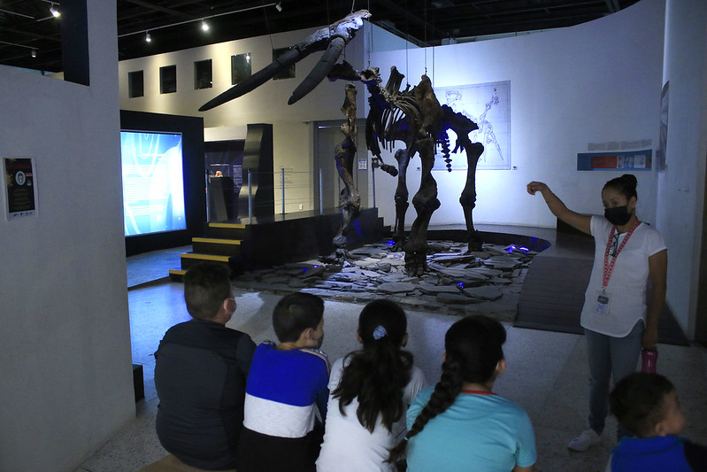 Brindan museos de Guadalajara servicio durante vacaciones de&nbsp;inverno