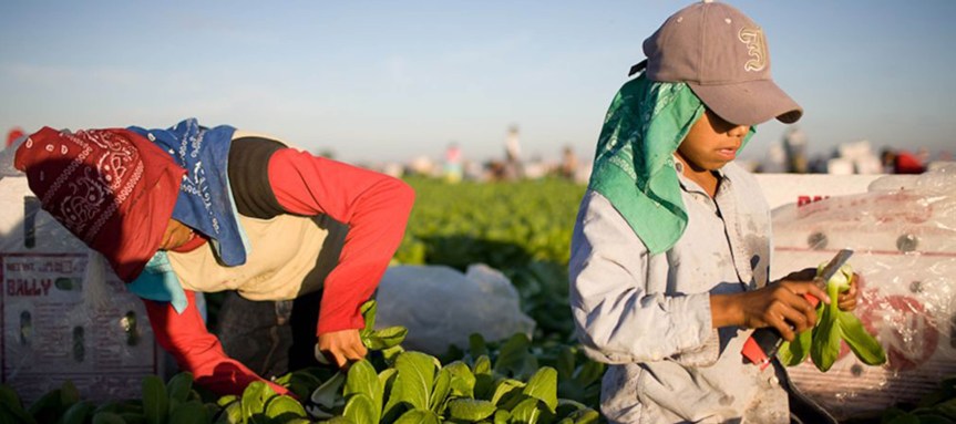 Jalisco reforzará la vigilancia a favor de la erradicación del trabajo&nbsp;infantil