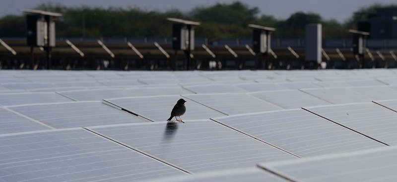 Jalisco y Dinamarca buscan la eficiencia&nbsp;energética