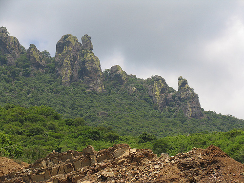 Presenta Gobierno de Jalisco denuncias ante Profepa y FGR por deforestación en San&nbsp;Gabriel