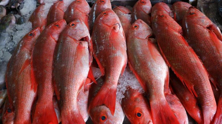 Jalisco ofrece amplia variedad de mariscos para la&nbsp;cuaresma