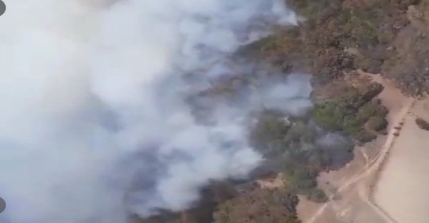 Se incendió en el área natural protegida de La Primavera en&nbsp;Jalisco
