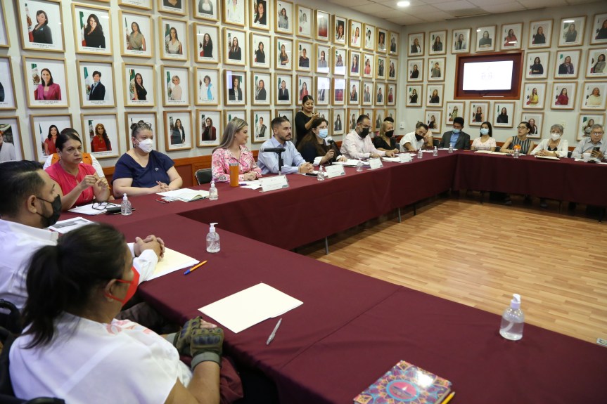 Realizan consulta pública con personas con&nbsp;discapacidad