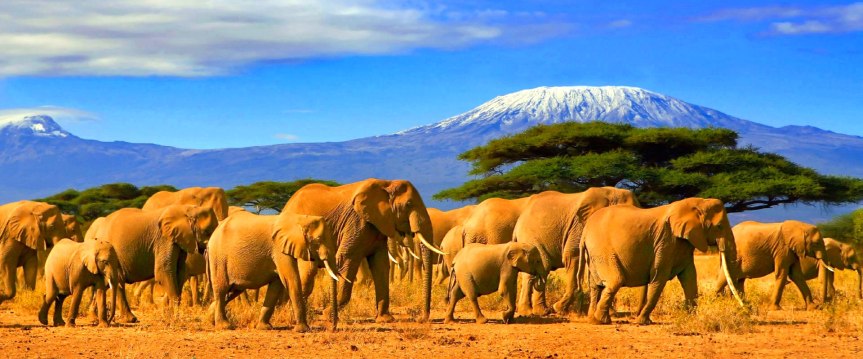 Irreversible, desaparecerá un tercio de los glaciares para el 2050 sentencia la&nbsp;UNESCO