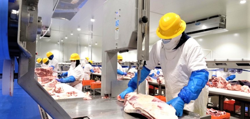 Asesora la Secretaría de Trabajo y Previsión Social sobre las Vacaciones&nbsp;Dignas