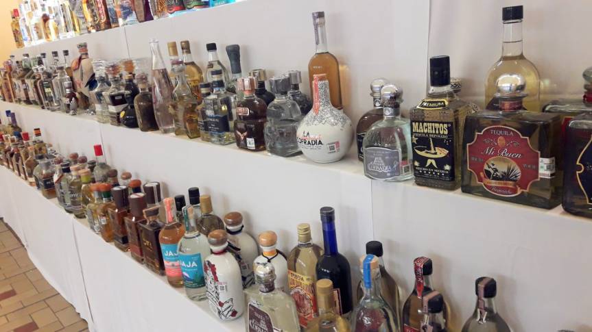 Día Nacional del Tequila crece en propuestas artísticas en su quinta&nbsp;edición