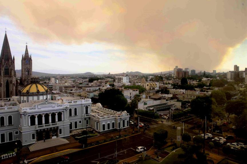 El dilema del Ornitorrinco tocando&nbsp;Blues