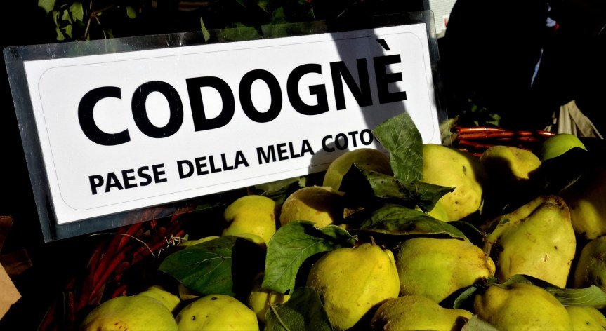 Todo listo para la VII edición del Festival Internacional del&nbsp;Membrillo