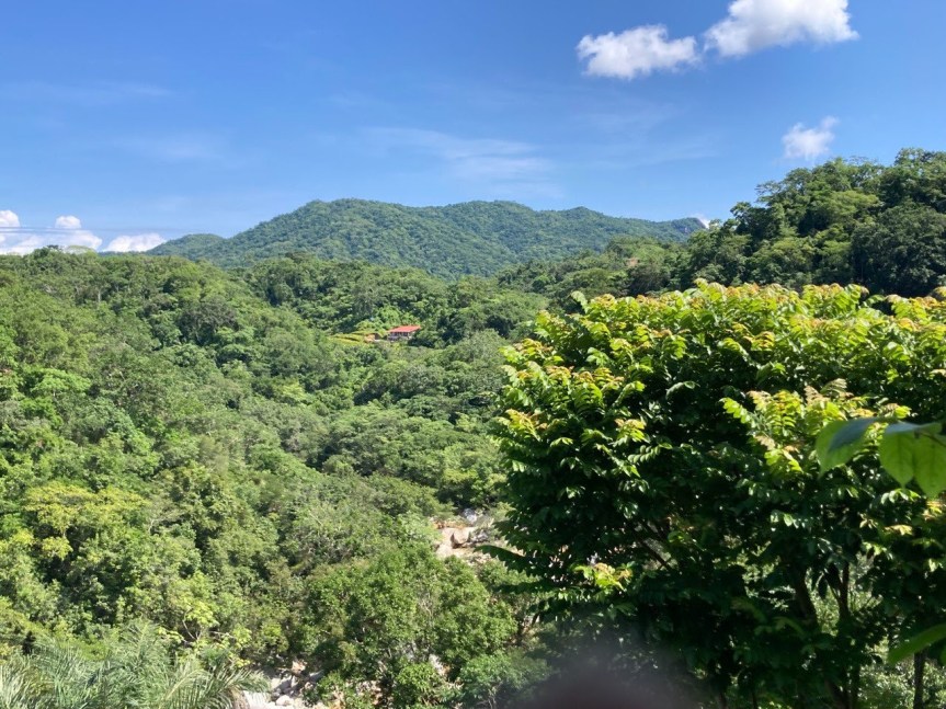 Certifican a «Vallarta Botanical Gardens» como Área Estatal Destinada Voluntariamente a la&nbsp;Conservación
