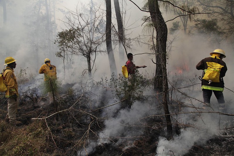 Disponibles herramientas de prevención y seguimiento de incendios&nbsp;forestales