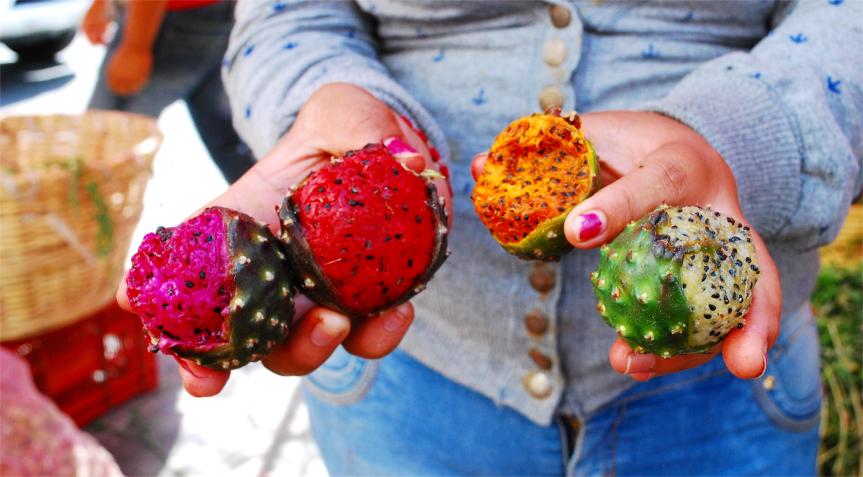 A unos días de que inicie la Feria de las Pitayas, Derivados y Guamuchiles 2025  