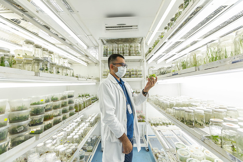 Abre SICyT convocatoria para el Premio Estatal de Innovación, Ciencia y Tecnología&nbsp;2025