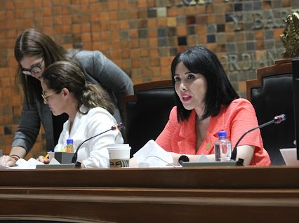 Brenda Carrera denuncia penal a la presidente de Mesa Directiva del Congreso 