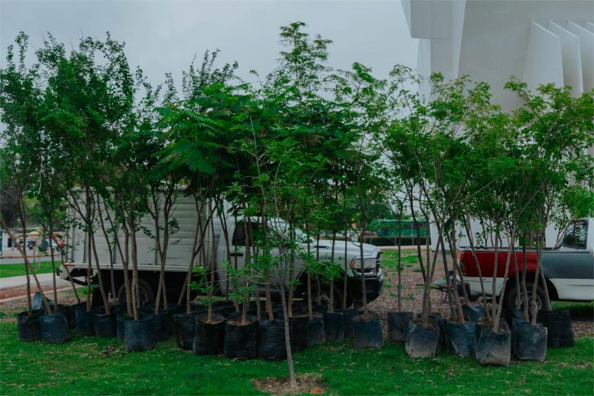 Guadalajara será la ciudad más verde de México 