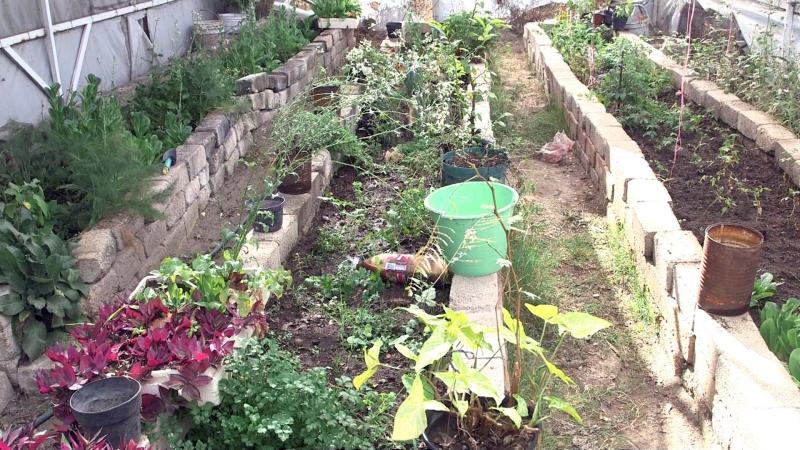 Con prácticas de consumo local, gastronomía sostenible reduce el impacto&nbsp;ambiental