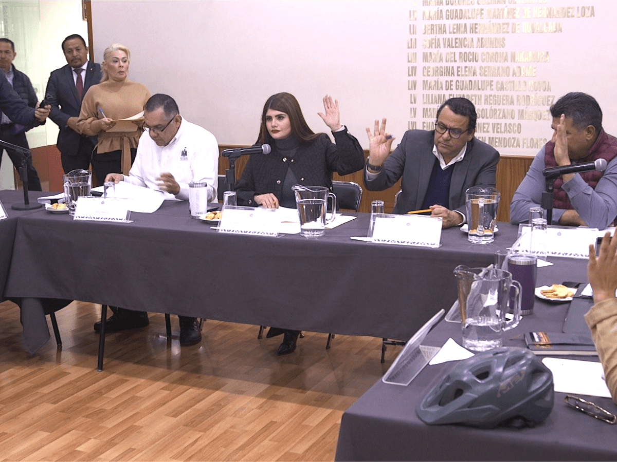 Antes del 19 de febrero el Congreso debe legislar en materia de Infancias trans 