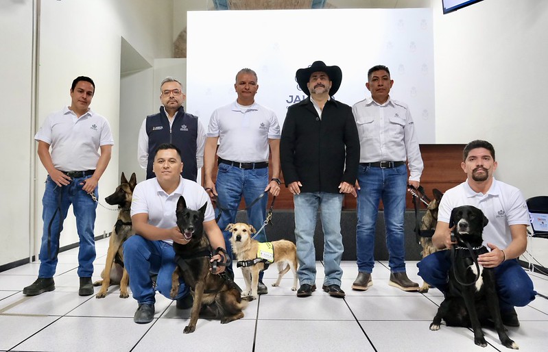 Refuerzan estrategia contra el Gusano Barrenador del Ganado con cinco nuevos binomios&nbsp;caninos