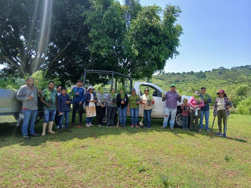 La acción colectiva impulsa una nueva jornada de restauración forestal en el Lago&nbsp;Chapala