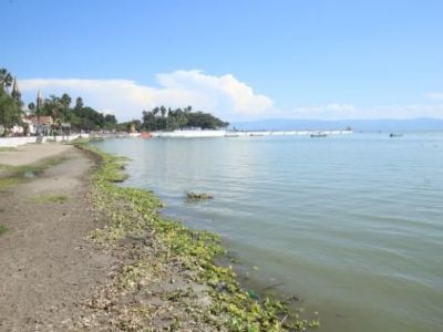 Crisis del agua en Guadalajara exige transparencia y protección del Lago de Chapala: Instituto Corazón de la&nbsp;Tierra