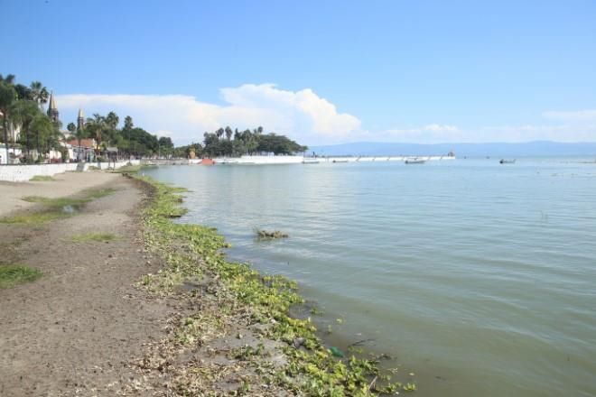 Crisis del agua en Guadalajara exige transparencia y protección del Lago de Chapala: Instituto Corazón de la&nbsp;Tierra